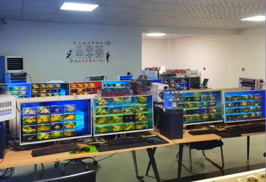 工作室整体案例1